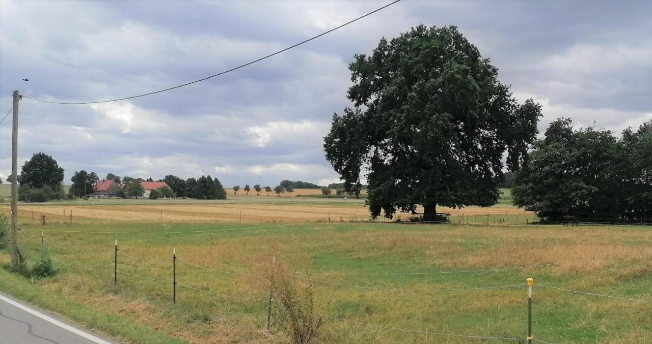 Weidenblick Apartment *